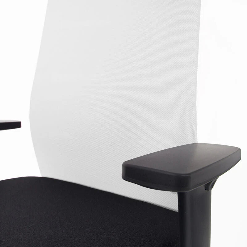 Fauteuil de bureau ergonomique Agilis Matrix MT12 à dossier en maille et inclinaison lente, édition spéciale, noir pur (édition 2025).