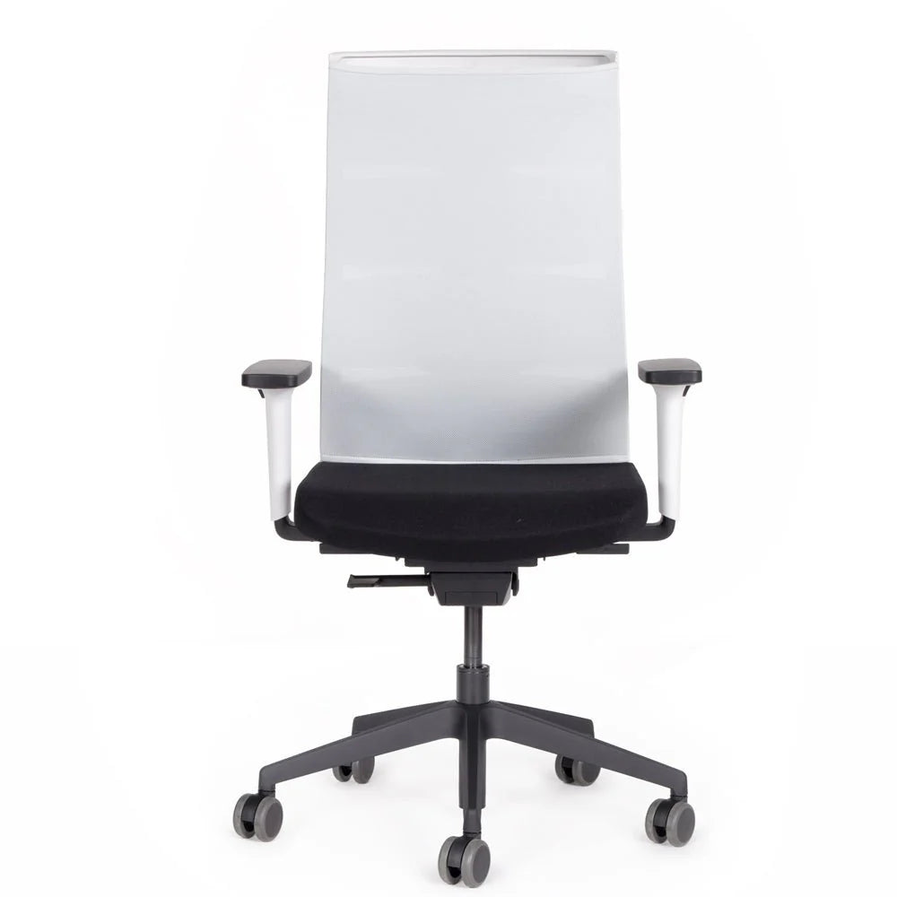 Fauteuil de bureau ergonomique Agilis Matrix MT12 à dossier en maille et inclinaison lente, édition spéciale, noir pur (édition 2025).