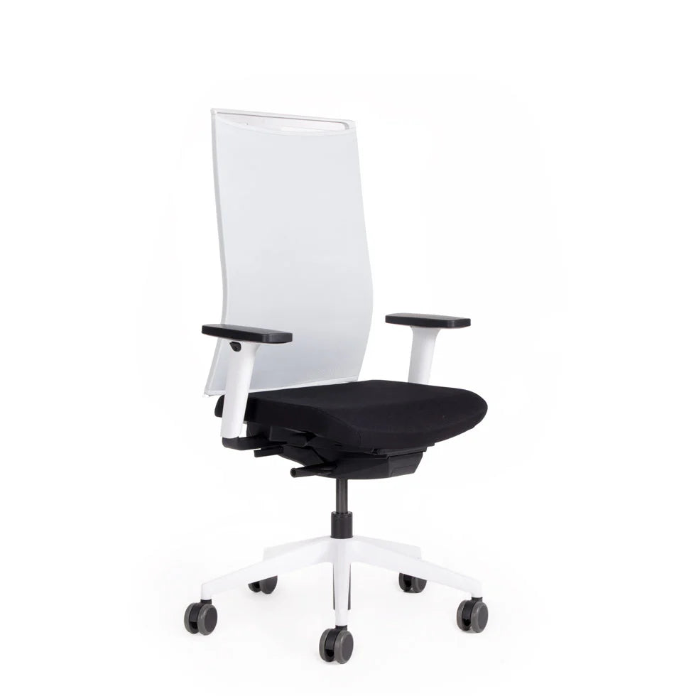 Fauteuil de bureau ergonomique Agilis Matrix MT12 à dossier en maille et inclinaison lente, édition spéciale, noir pur (édition 2025).
