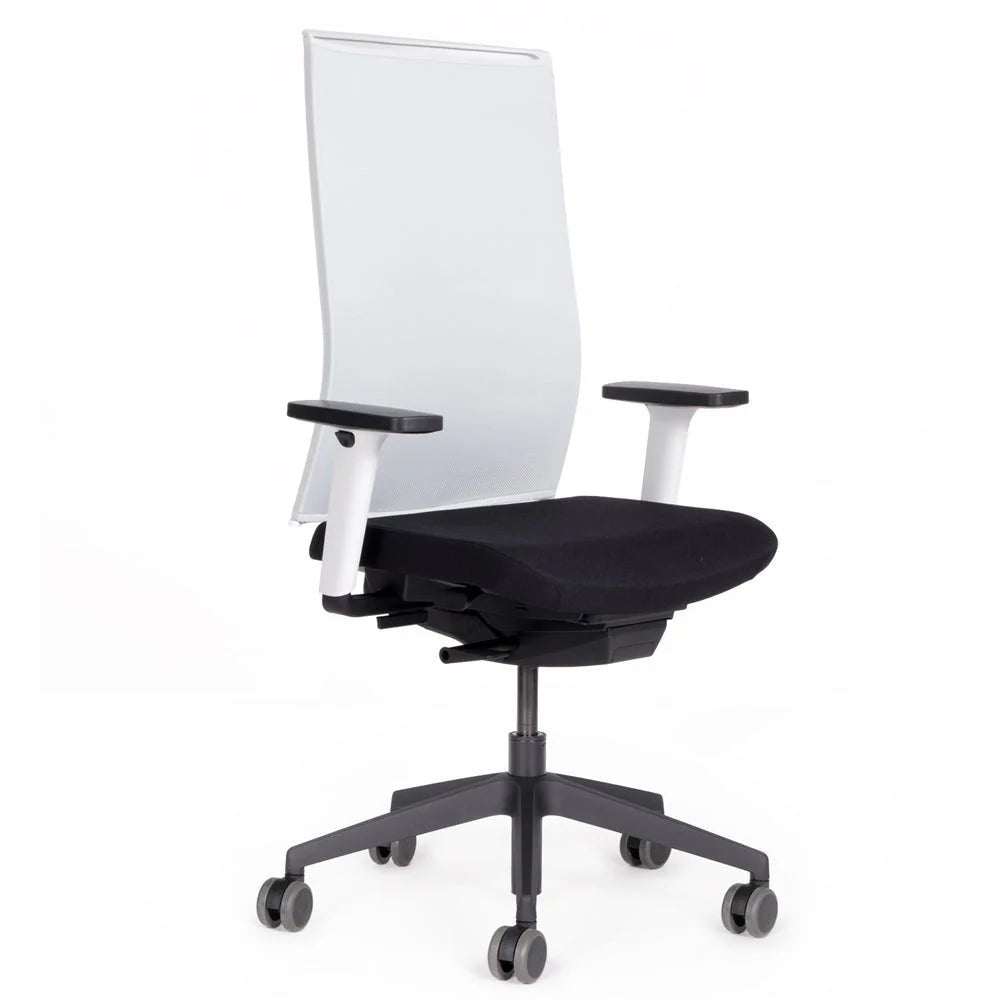 Fauteuil de bureau ergonomique Agilis Matrix MT12 à dossier en maille et inclinaison lente, édition spéciale, noir pur (édition 2025).